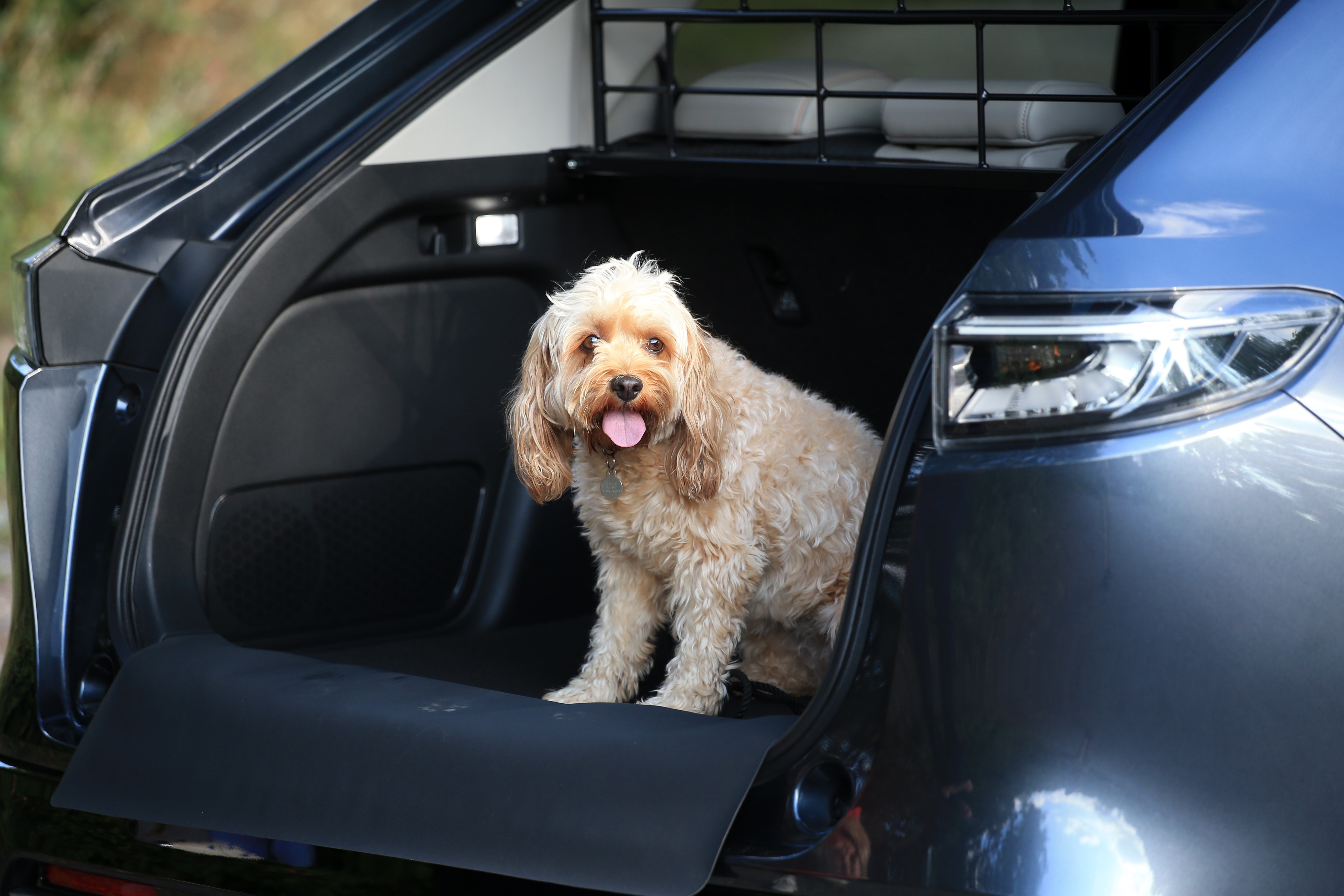 Honda hrv dog clearance guard